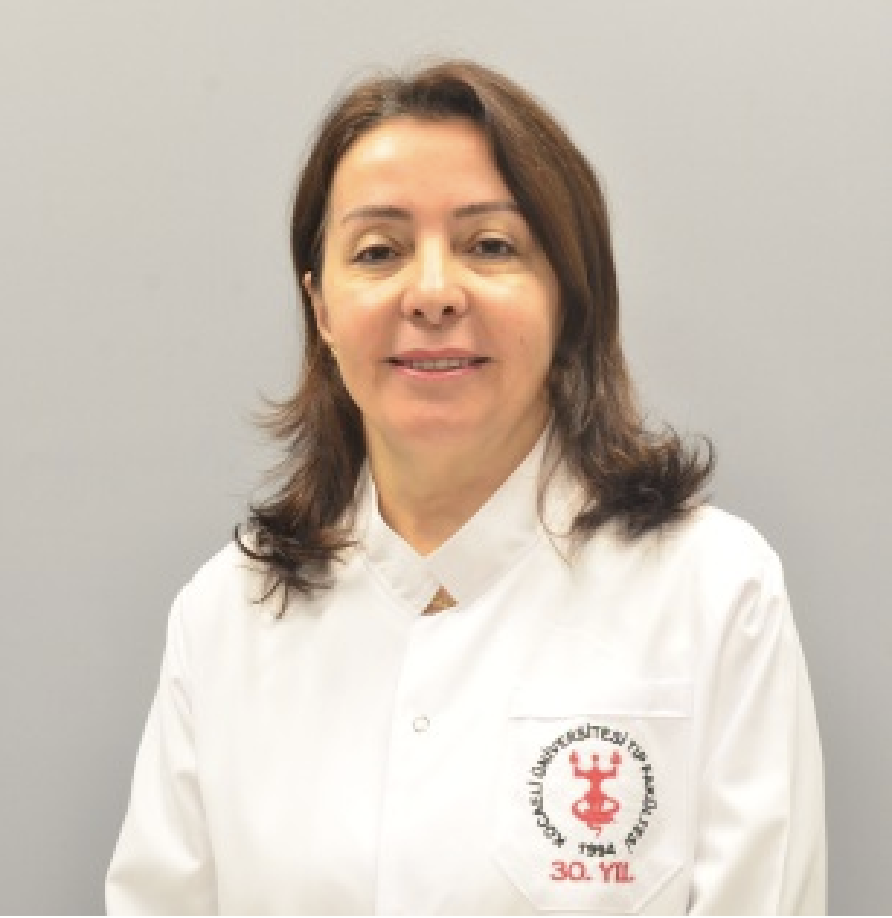 Aynur Karadenizli